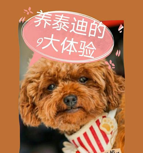 文章详情图片