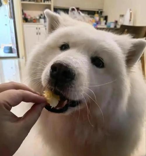 文章详情图片