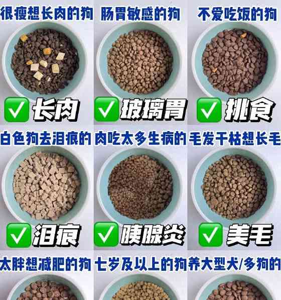 狗粮对狗狗体重的影响（营养均衡的狗粮与狗狗健康体重的关系）