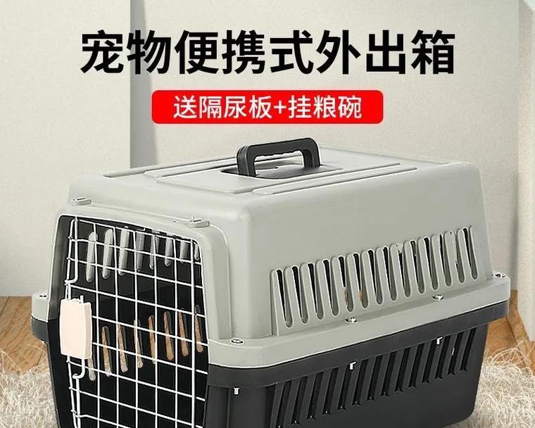 文章详情图片