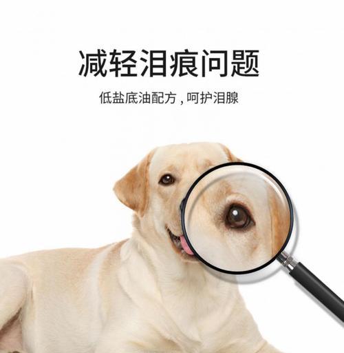 文章详情图片
