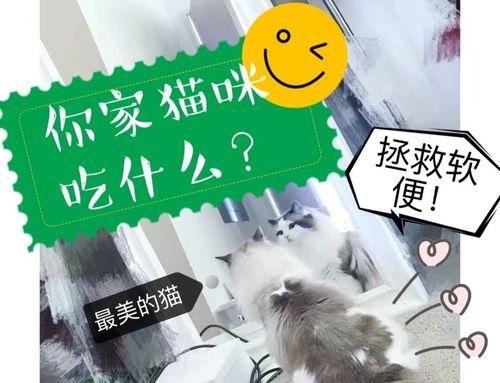 文章详情图片