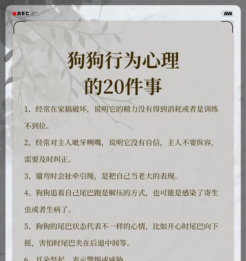 文章详情图片