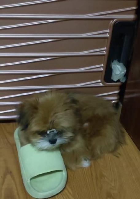 文章详情图片