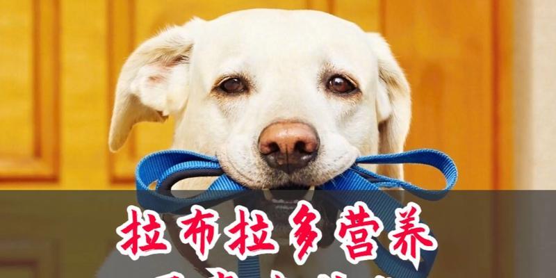 文章详情图片