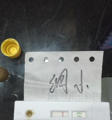 文章详情图片