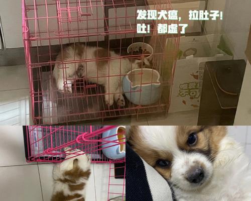 文章详情图片