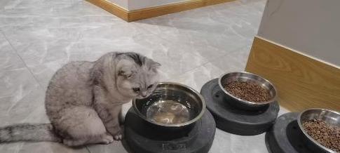 文章详情图片