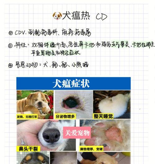 文章详情图片