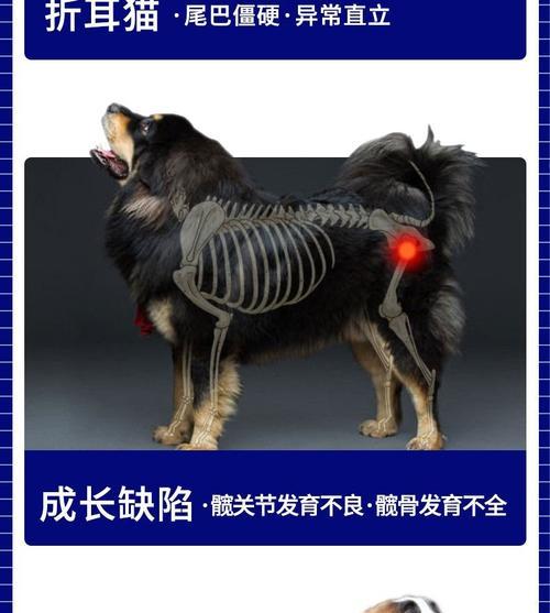 文章详情图片