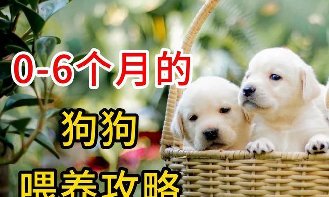 文章详情图片