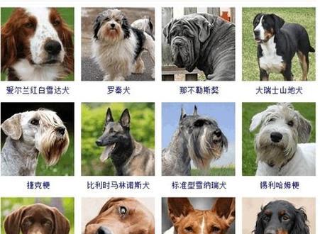 文章详情图片