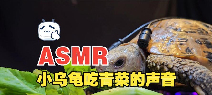 文章详情图片