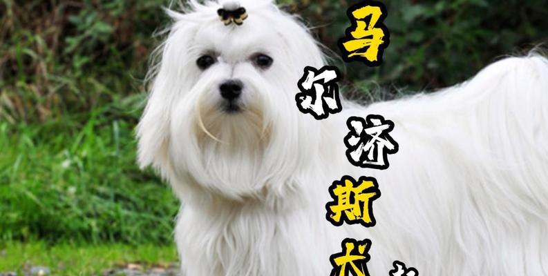 文章详情图片