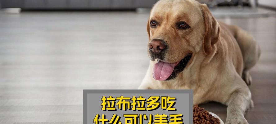文章详情图片