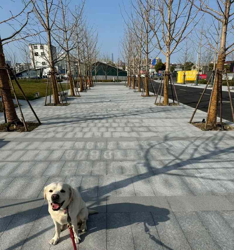 文章详情图片