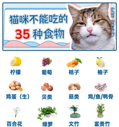 文章详情图片