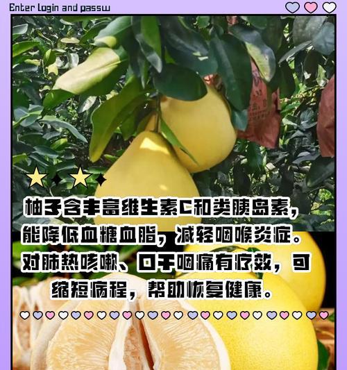 文章详情图片