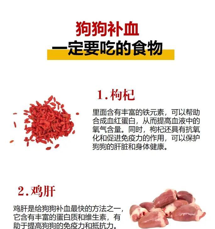 狗狗的蛋白补充（通过饮食补充蛋白质，让你的狗狗保持健康和活力）