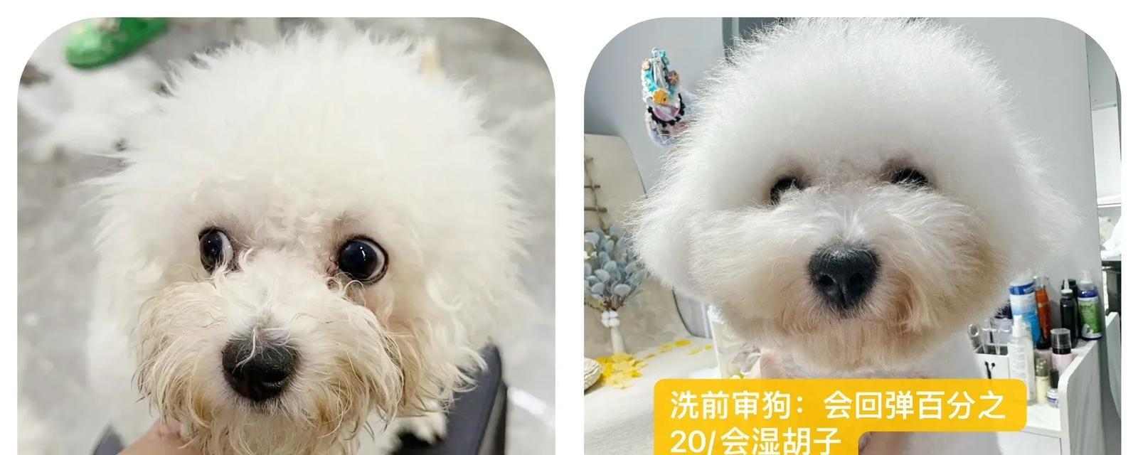 文章详情图片