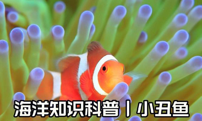 文章详情图片