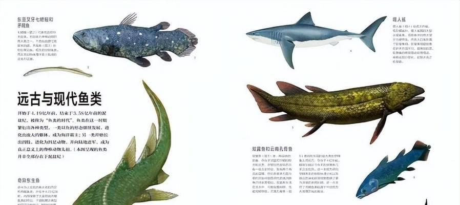 文章详情图片