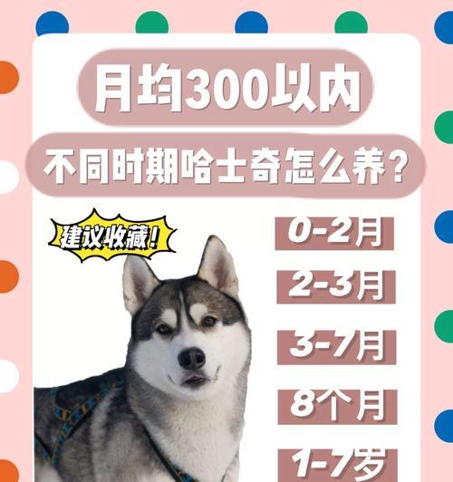 文章详情图片