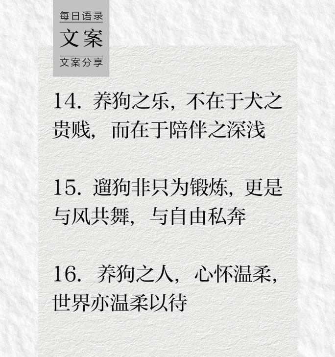文章详情图片