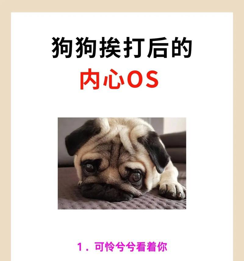 文章详情图片