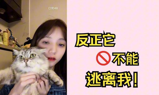 文章详情图片