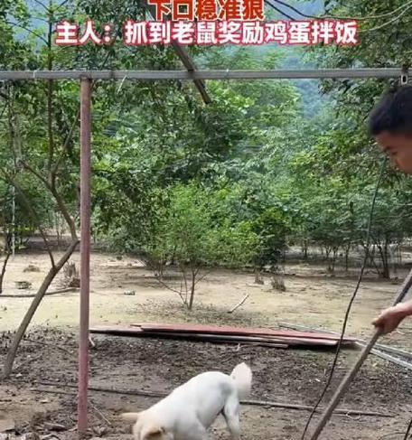 文章详情图片