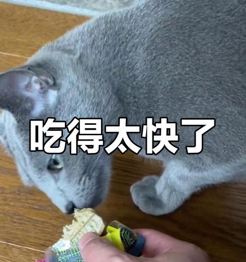 文章详情图片