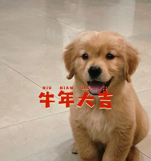 文章详情图片