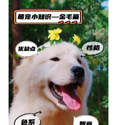文章详情图片