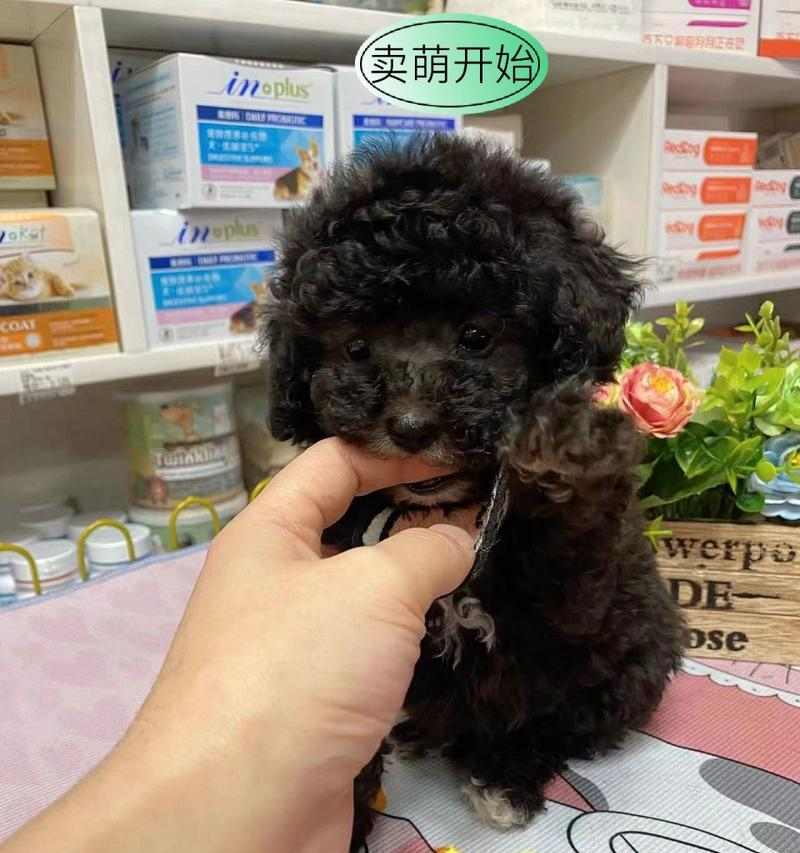 文章详情图片
