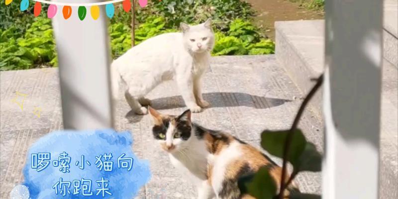 文章详情图片