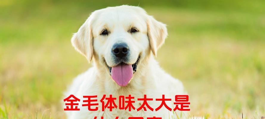 文章详情图片