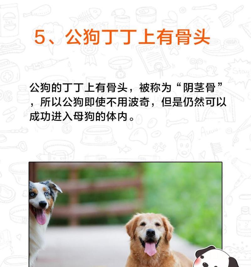文章详情图片