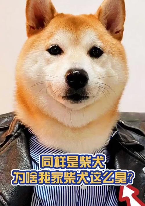 文章详情图片