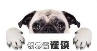 文章详情图片