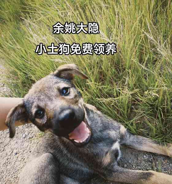 文章详情图片