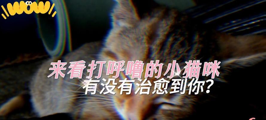 文章详情图片