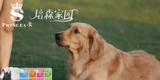 文章详情图片