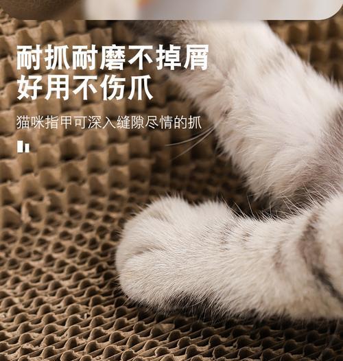 文章详情图片