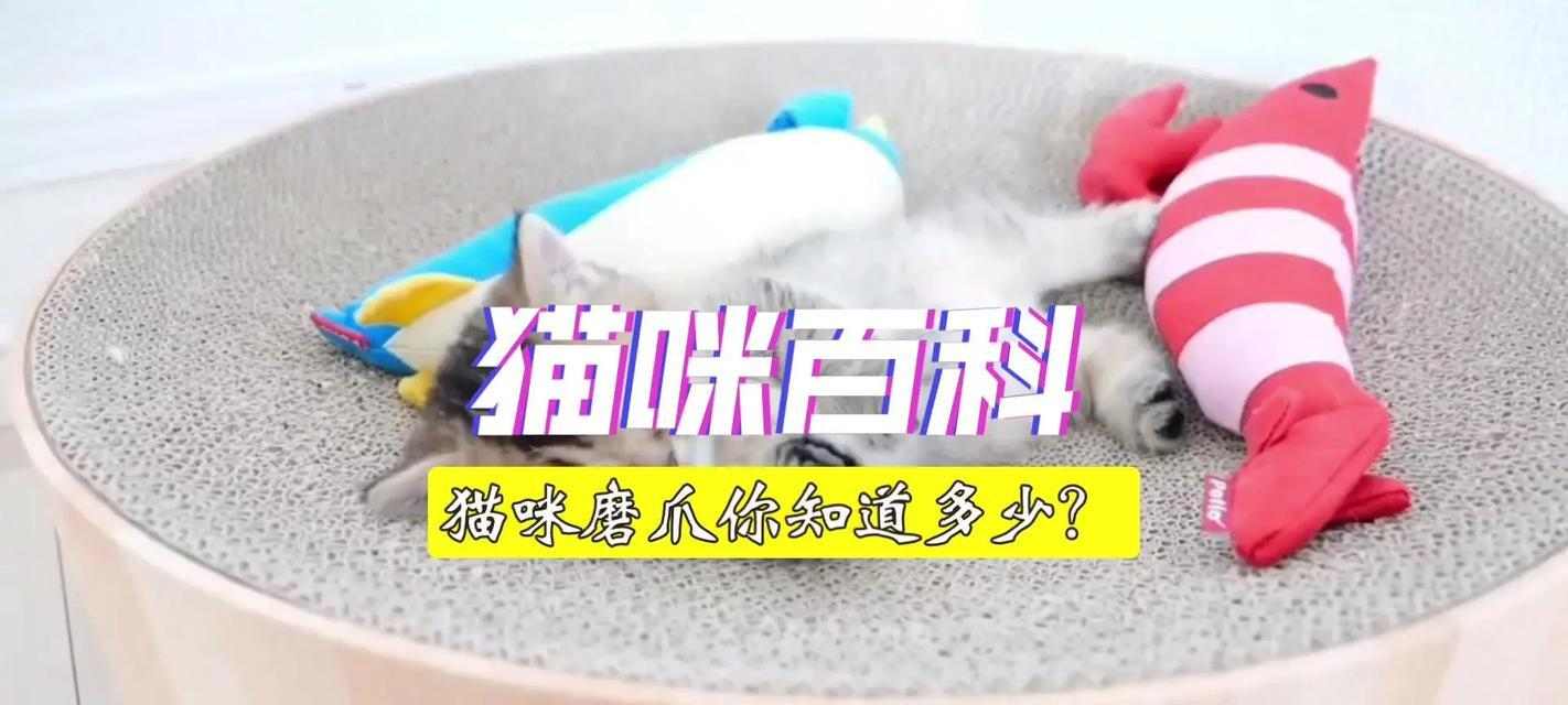 文章详情图片