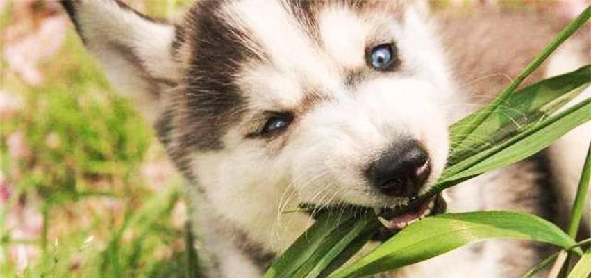 文章详情图片