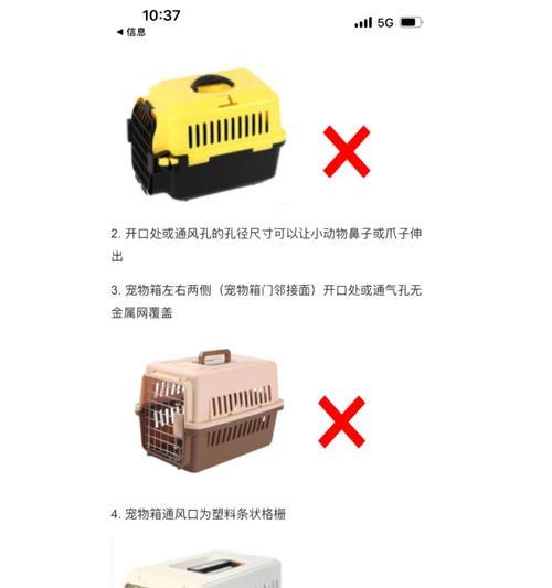 文章详情图片