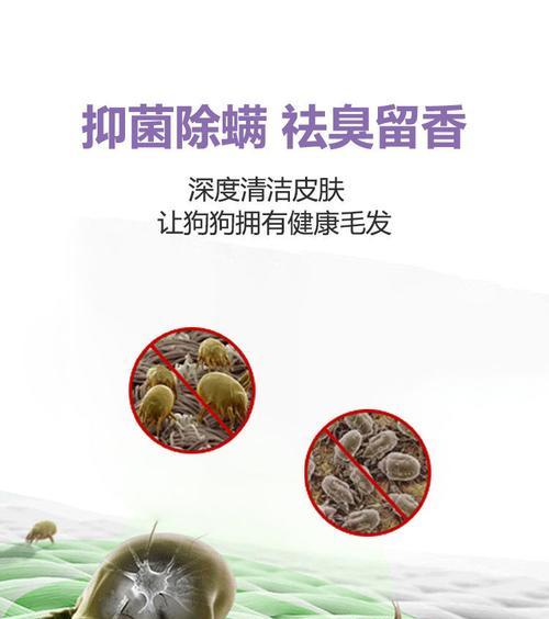 文章详情图片