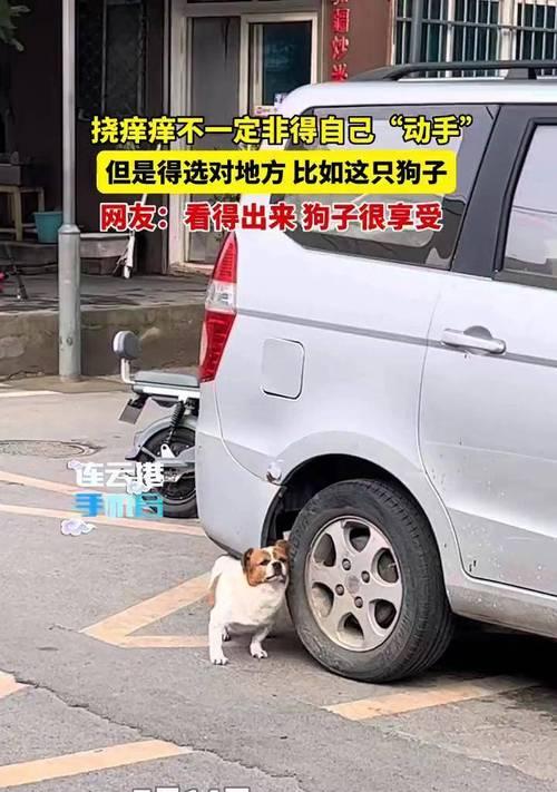 文章详情图片