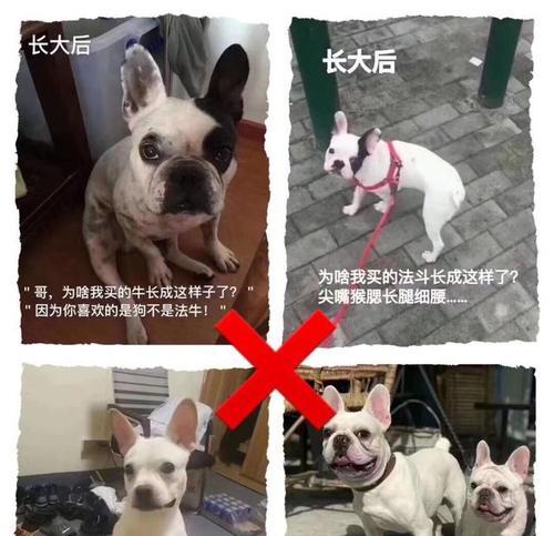 文章详情图片